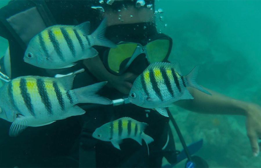 Detalle del casco del ARC Quindío colonizado por organismos marinos
